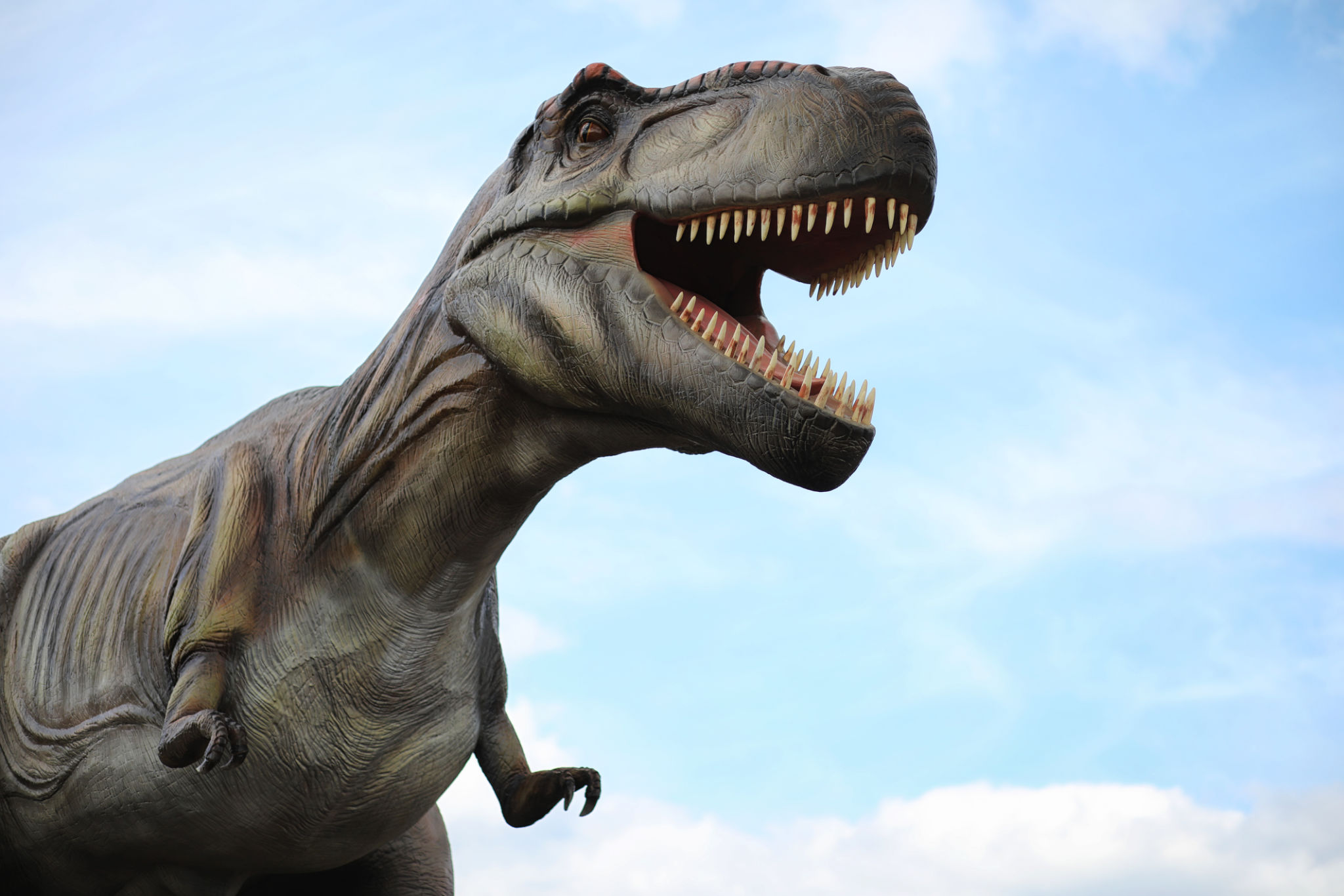 dinosaur exhibit