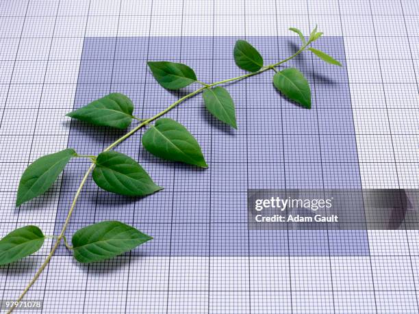 ascending vine on graph paper - economy recovery stock pictures, royalty-free photos & images