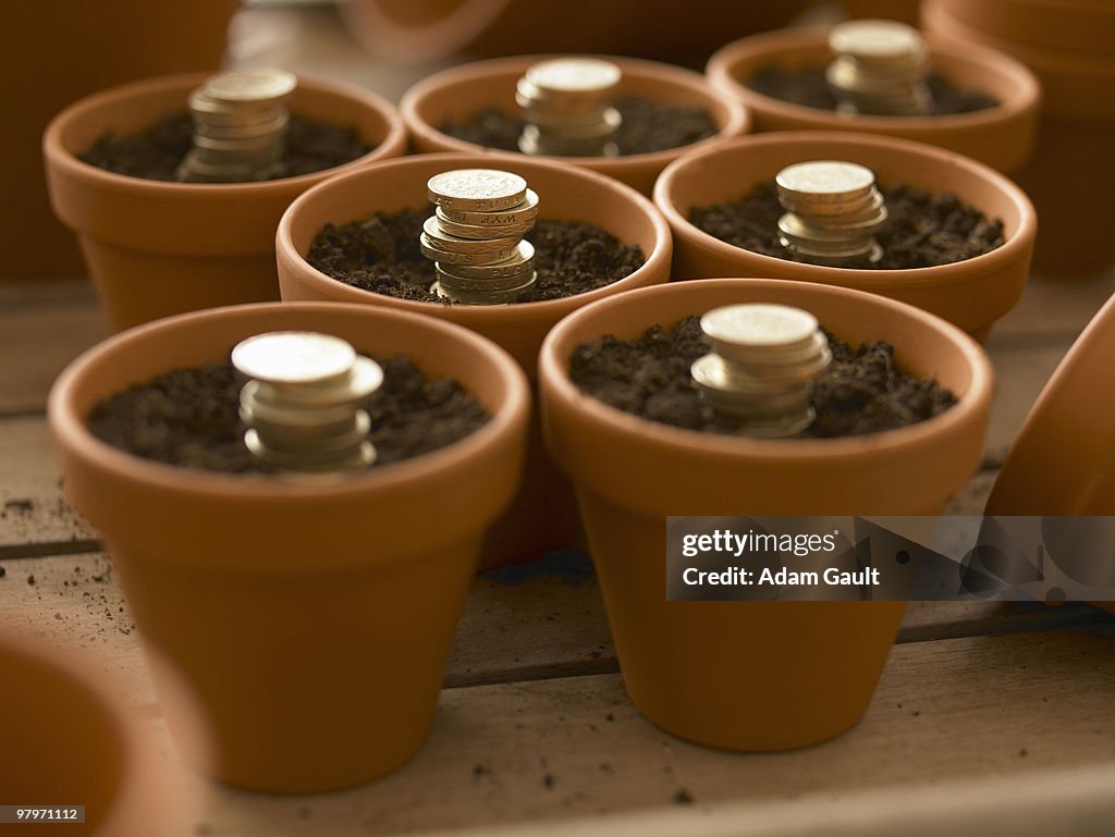 Stacks of coins growing in flowerpots