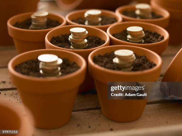 stacks of coins growing in flowerpots - flower pot stock pictures, royalty-free photos & images