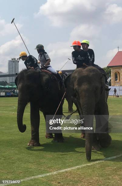 March 2018, Thailand, Bangkok: Participants of the elephant polo tournament. A number of teams play at the tournament, which runs until 11 March...