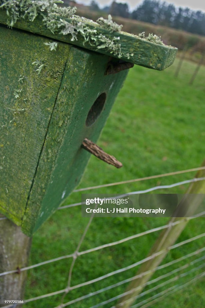 Bird House
