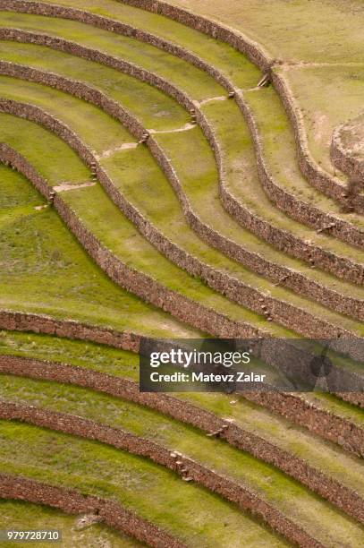 curves of past - moray inca ruin stock pictures, royalty-free photos & images