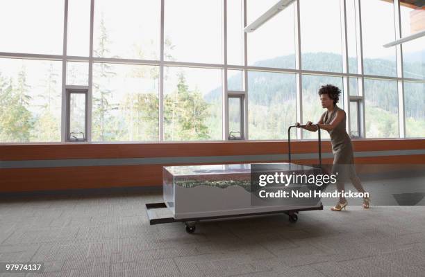 127 Push Cart Race Stock Photos, High-Res Pictures, and Images - Getty ...