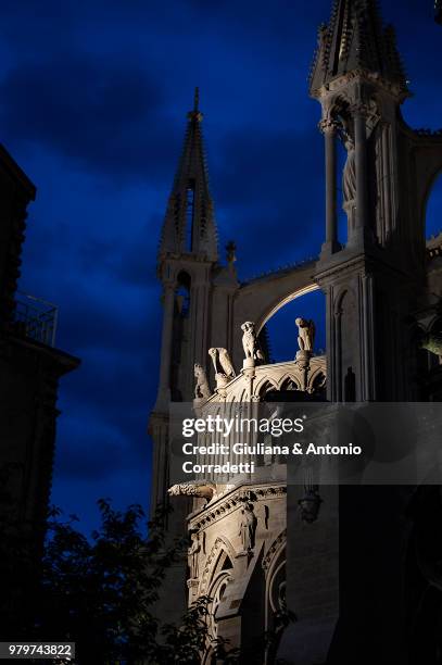 reims cathedral at night, reims, france - reims 個照片及圖片檔