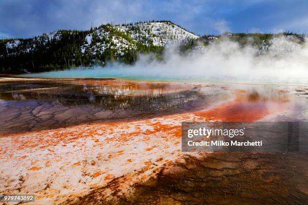 steam above grand prismatic spring, old faithful, yellowstone national park, wyoming, usa - midway geyser basin stock-fotos und bilder