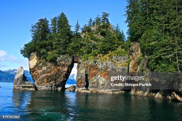 893 Three Tree Point Stock Photos, High-Res Pictures, and Images ...