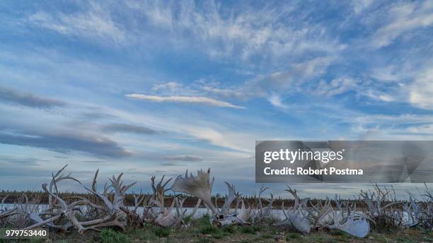 Antler Fence High-Res Stock Photo