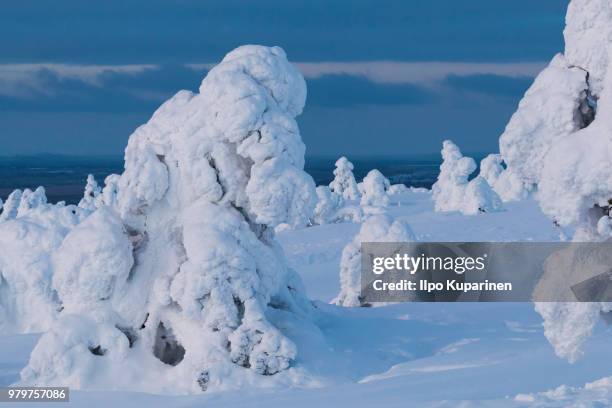 frozen winter landscape, levi, kittila, lapland, finland - kittila photos et images de collection