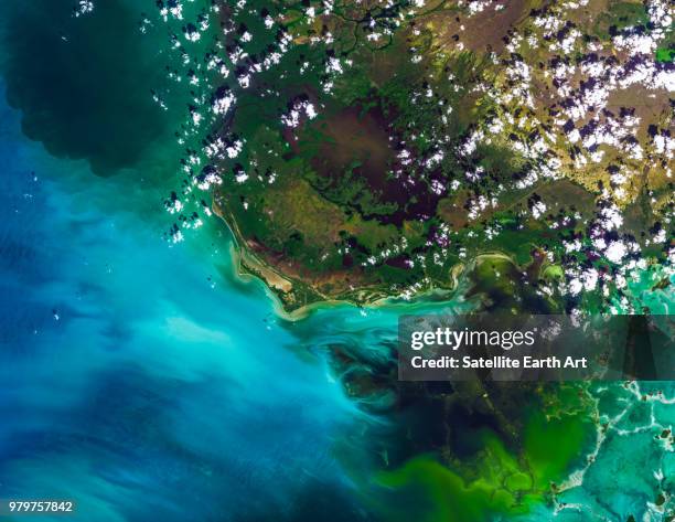 satellite image of everglades national park, florida, usa - florida coastline stock pictures, royalty-free photos & images