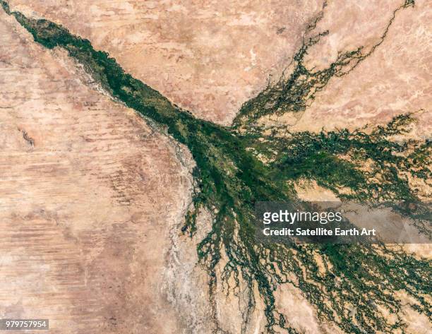 satellite image of okavango delta, botswana, africa - flussdelta stock-fotos und bilder