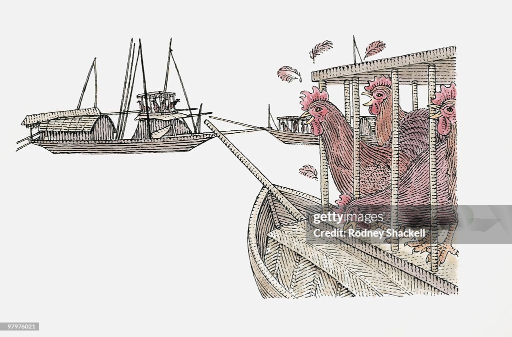 Illustration of chickens on Chinese junk ship