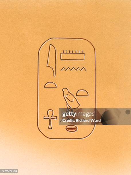 illustration of hieroglyphics representing tutankhamun - tutankhamun stock illustrations