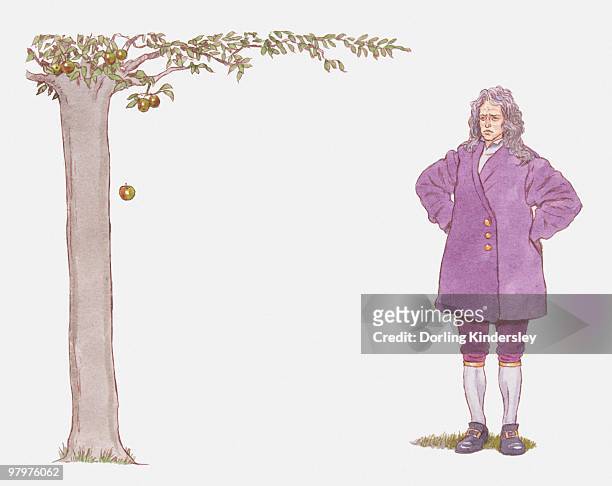 illustration of isaac newton watching apple falling from tree - isaac newton apple stock-grafiken, -clipart, -cartoons und -symbole