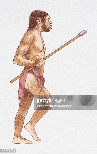 illustration of homo erectus holding spear - prehistoric people stock illustrations