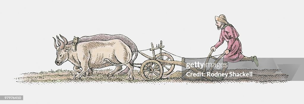 Illustration of farmer ploughing with oxen