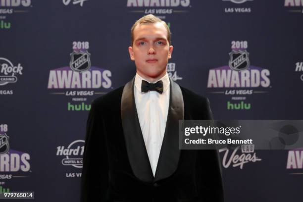 Andrei Vasilevskiy of the Tampa Bay Lightning arrives at the 2018 NHL Awards presented by Hulu at the Hard Rock Hotel & Casino on June 20, 2018 in...