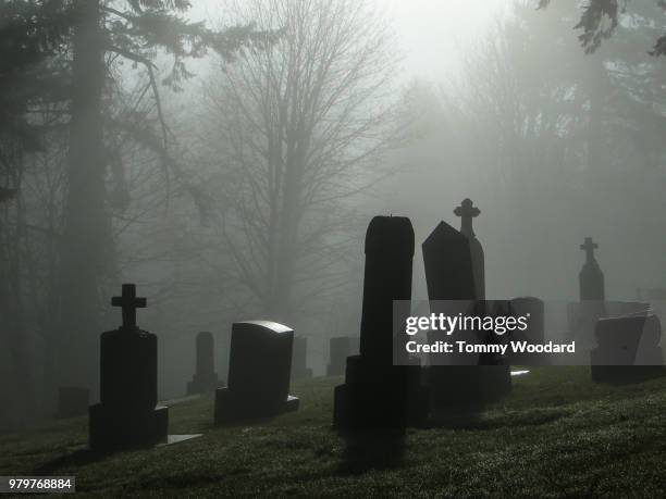 foggy cemetery - grafsteen stockfoto's en -beelden