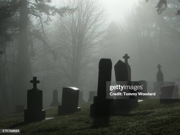 foggy cemetery - gravestone 個照片及圖片檔