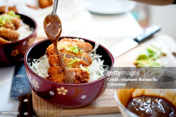 tonkatsu with noodles and sauce in bowl, japan - tonkatsu - fotografias e filmes do acervo