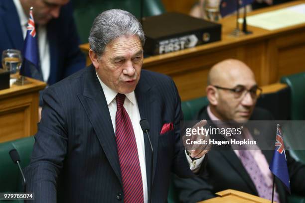 Acting Prime Minister Winston Peters speaks while Minister of Defence Ron Mark looks on during question time at Parliament on June 21, 2018 in...