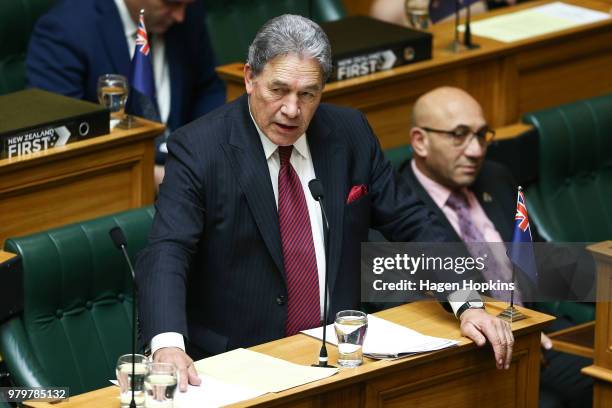 Acting Prime Minister Winston Peters speaks while Minister of Defence Ron Mark looks on during question time at Parliament on June 21, 2018 in...