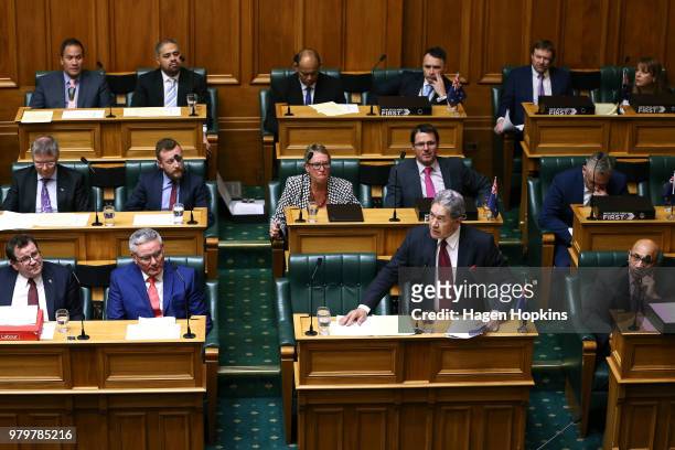 Acting Prime Minister Winston Peters speaks during question time at Parliament on June 21, 2018 in Wellington, New Zealand. Peters becomes Acting...