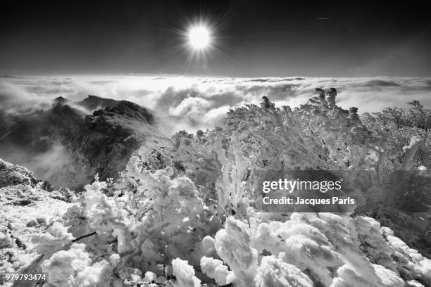 rocher de la sausse (grand echaillon) - rocher stock pictures, royalty-free photos & images