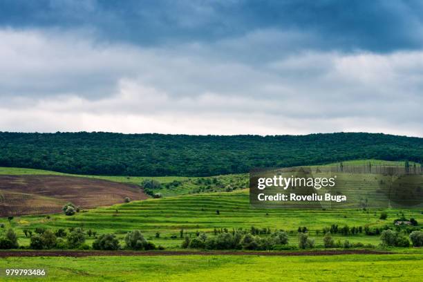 149 Codri Stock Photos, High-Res Pictures, and Images - Getty Images