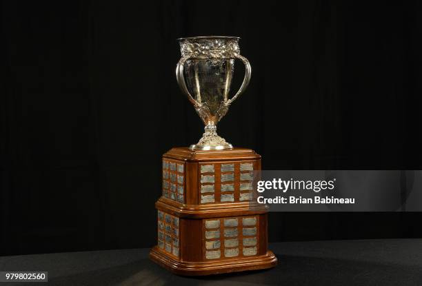 Detailed view of the Calder Memorial Trophy is seen positioned on a table at the 2018 NHL Awards at the Hard Rock Hotel & Casino on June 20, 2018 in...