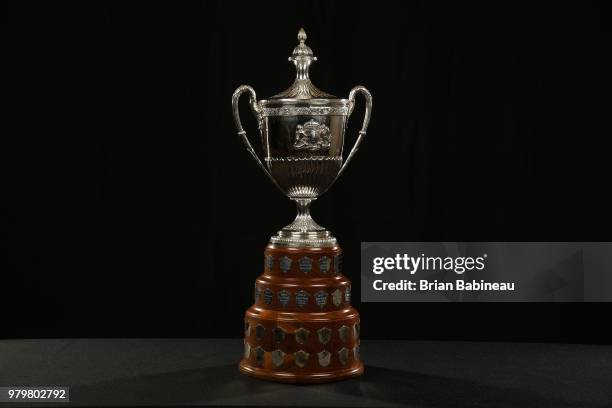 Detailed view of the King Clancy Memorial Trophy is seen positioned on a table at the 2018 NHL Awards at the Hard Rock Hotel & Casino on June 20,...