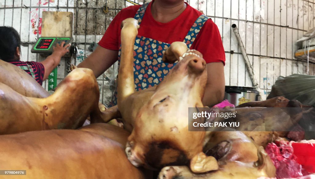 CHINA-ANIMAL-DOG-FESTIVAL