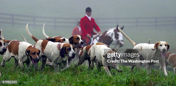 Members and friends of the Old Dominion Hounds gathered at 'Clorevia,' a farm in Flint Hill, Va for the Blessing of the hounds at the opening meet of...