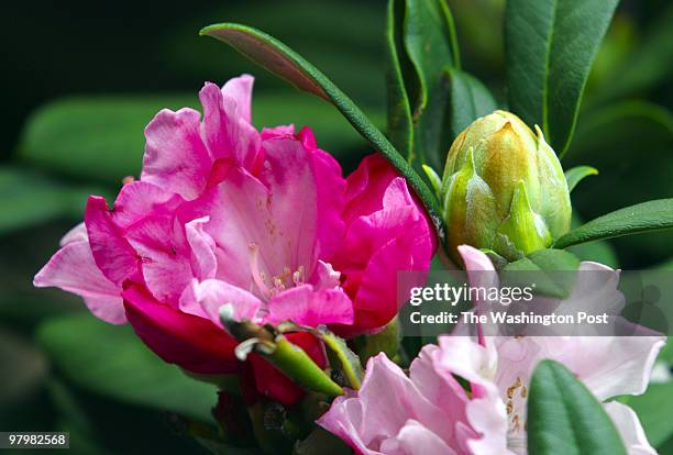 Spring planting was on their minds as 2,314 area gardeners celebrated Earth Day at the 6th annual Lawn and Garden Show and Sale. Crowds roaming the...