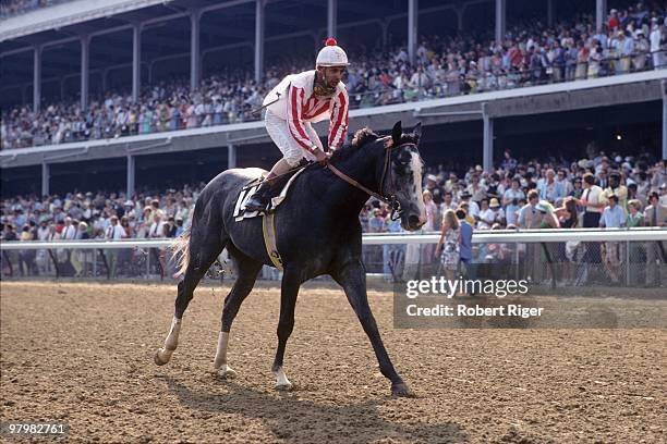 1977 Kentucky Derby Photos and Premium High Res Pictures Getty Images