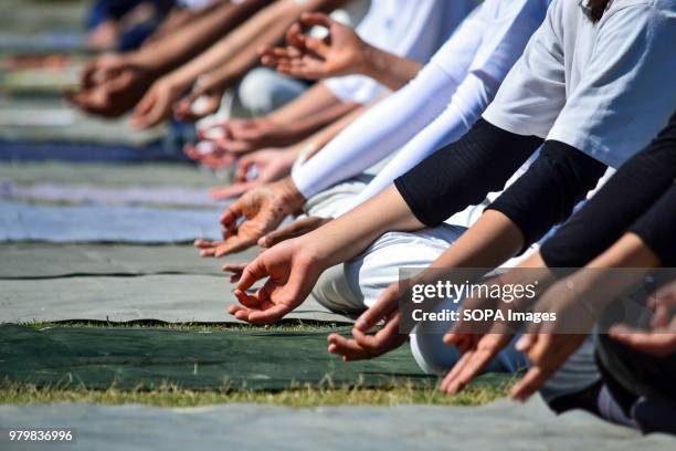 Participants perform yoga at a park to mark International Yoga Day in Srinagar, Indian administered Kashmir. Hundreds of Yoga Practitioners...