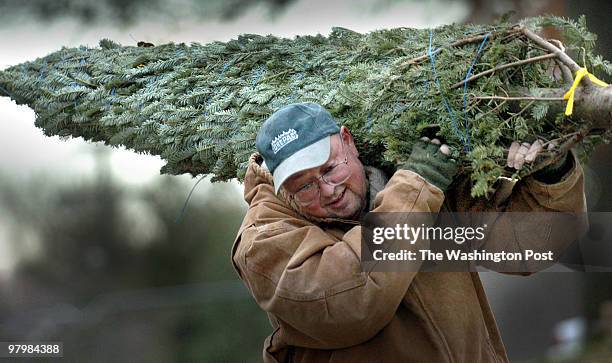 Dec. 11, 2005 Slug: FX-tree assignment St. Mary's Church Burke, VA Photographer: Gerald Martineau Knights of Columbus sell X-Mas trees Knights of...