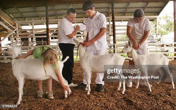 The 55th annual Prince William Fair is the largest county fair in Virginia, boasting a yearly attendance of over 90,000. Visitors can admire locally...