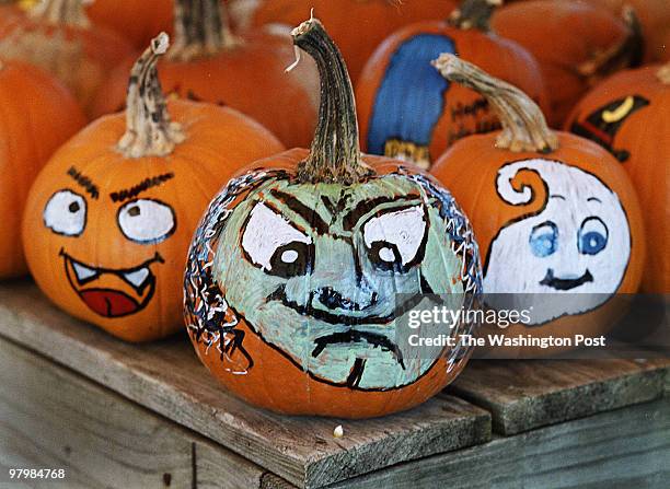 Halloween is only a few weeks away so families gathered at Plantland in Manassas and Lake Ridge Nursery in Woodbridge to select pumkins and enjoy the...