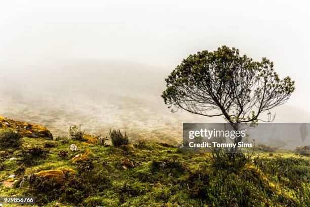 Mount Sims Mount Sims Photos and Premium High Res Pictures - Getty Images