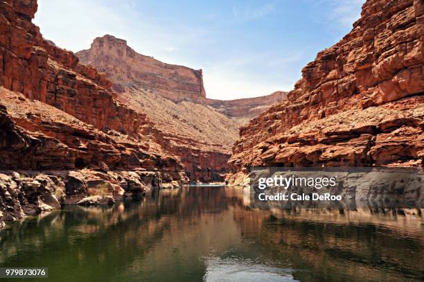 colorado river in marble canyon, arizona, usa - marble canyon foto e immagini stock