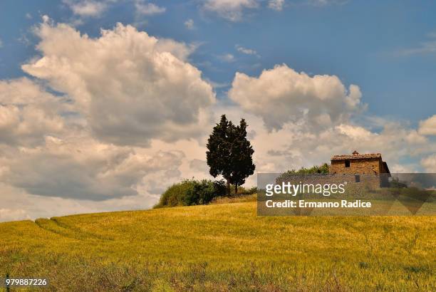 casolare in val d'orcia - radice stock pictures, royalty-free photos & images