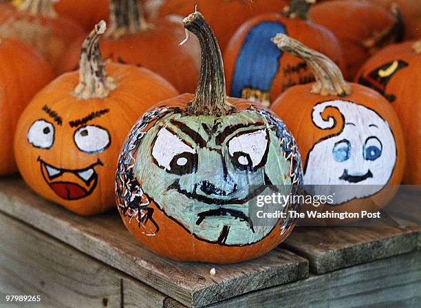 Halloween is only a few weeks away so families gathered at Plantland in Manassas and Lake Ridge Nursery in Woodbridge to select pumkins and enjoy the...