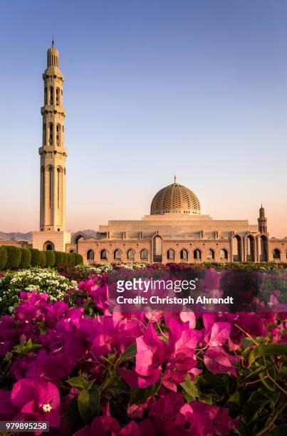 view of sultan qaboos grand mosque, oman - sultan qaboos grand mosque stock pictures, royalty-free photos & images