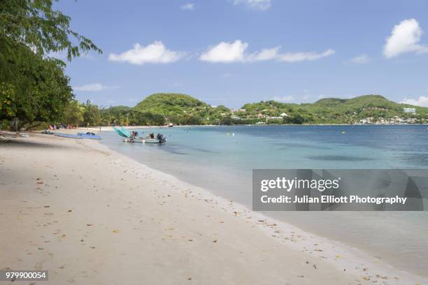 sainte anne beach on the tropical island of martinique. - saint anne stock pictures, royalty-free photos & images