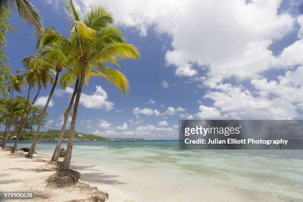 sainte anne beach on the tropical island of martinique. - saint anne stock pictures, royalty-free photos & images