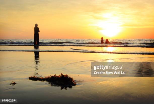 silhouettes of mother and two children at south china sea, kota kinabalu, sabah, malaysia - kota kinabalu 個照片及圖片檔