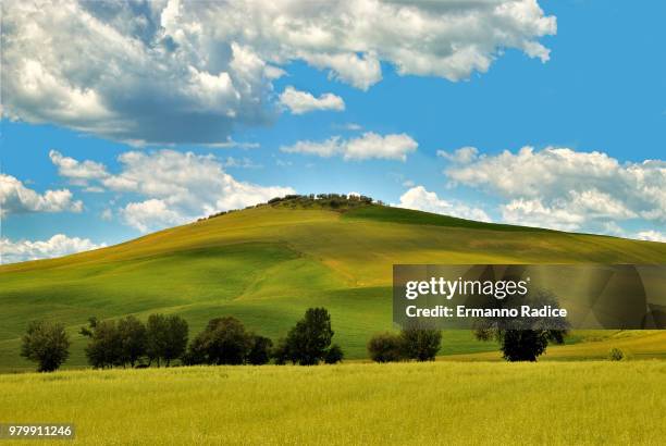 light and shadows on the hill - radice stock-fotos und bilder