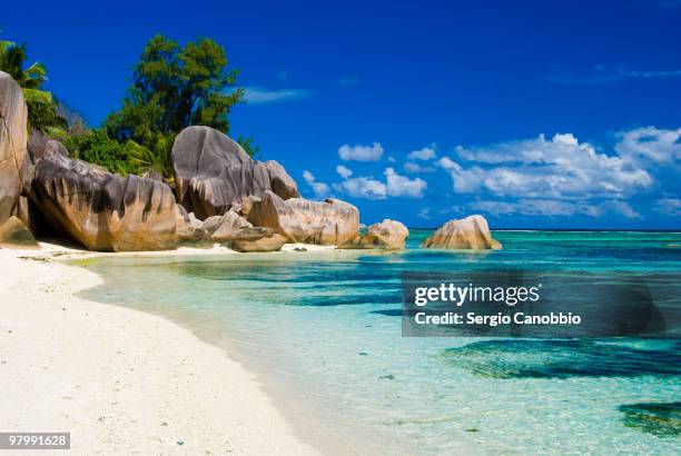anse source d'argent on the rocks - indian ocean stock pictures, royalty-free photos & images