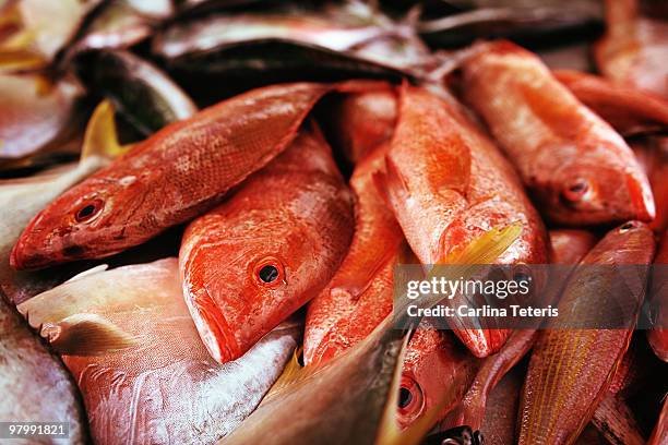 dead fish in a market - redfish stockfoto's en -beelden